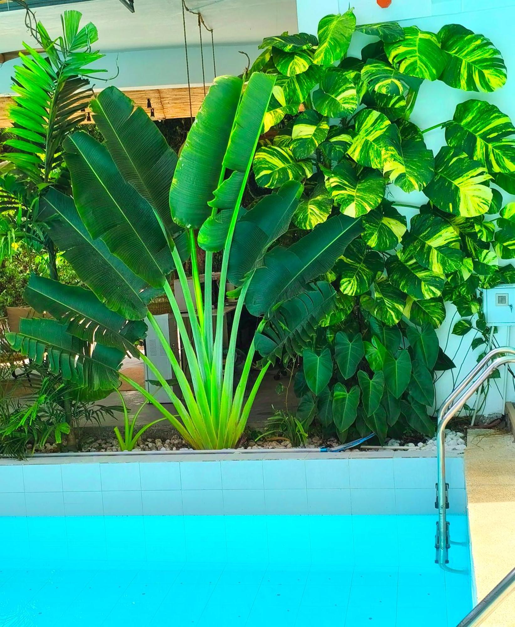 Diving Addiction Resort Panglao Luaran gambar